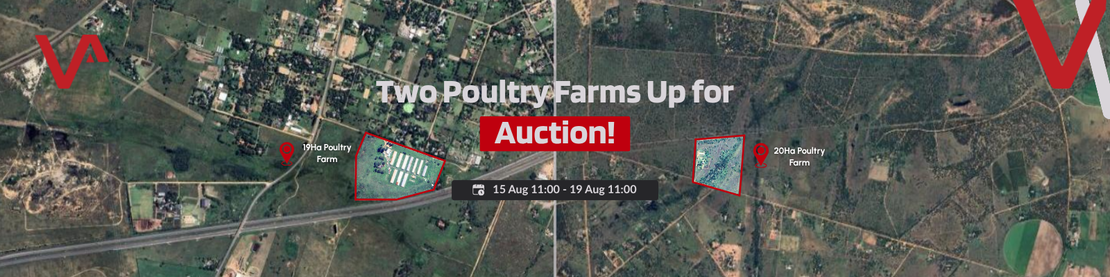 Venditor Auctioneers