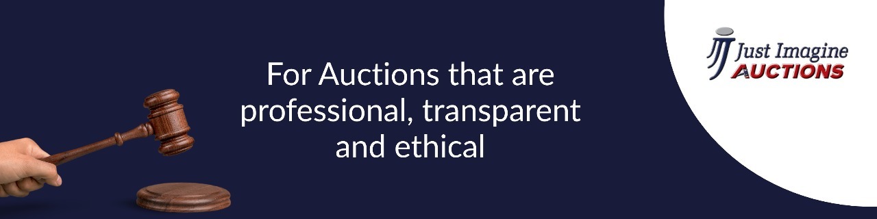 Just Imagine Auctions