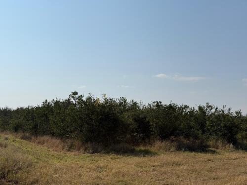 101.6253 Ha Farm In Groblersdal - Auction On Site !