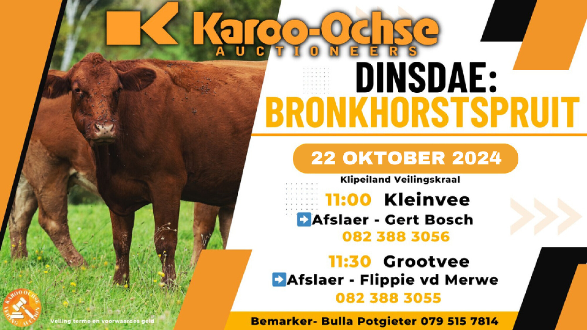 KarooOchse Livestock Auction Bronkhorstspruit 22 October 2024 Auction Calendar