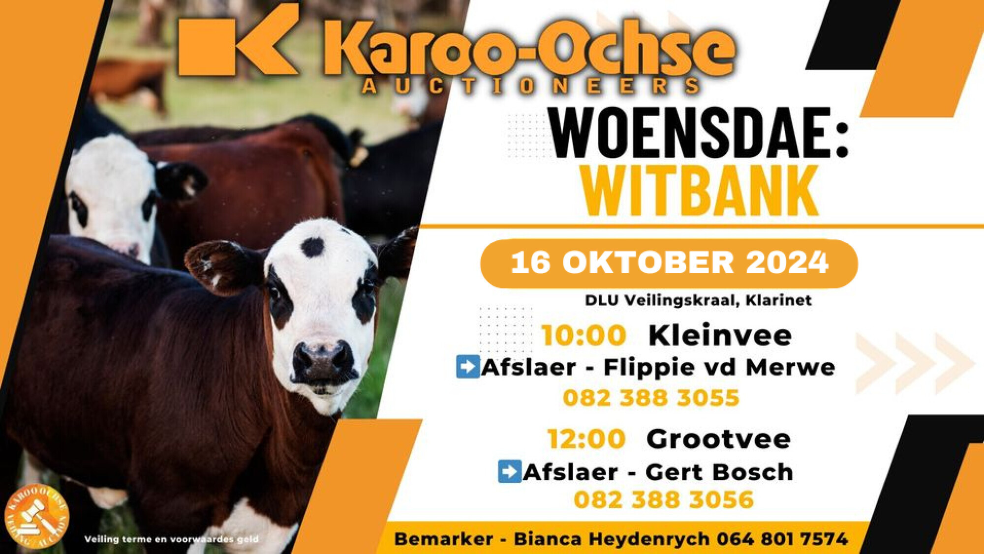 KarooOchse Livestock Auction Witbank 16 October 2024 Auction Calendar