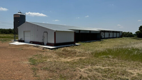 Business Rescue - 20Ha Poultry Farm In Lusthof, Hammanskraal
