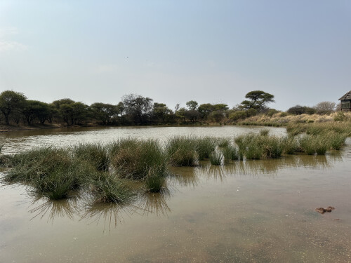 700 Ha Game Farm With Game & Improvements, Dwaalboom Area