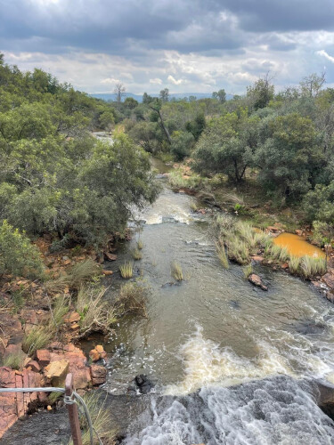 ± 798Ha Water Rich Game, Cattle & Crop Farm Modimolle