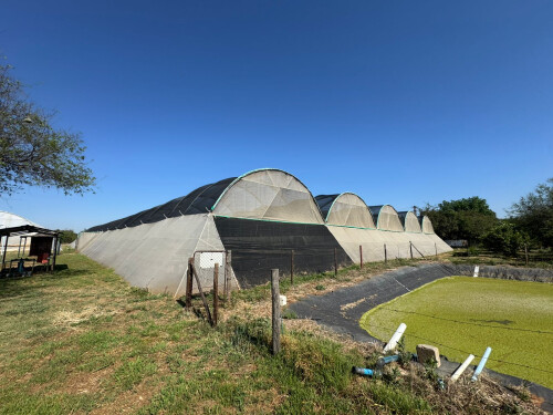50 Ha Aquaponics Farm With Water & Movables - Hekpoort