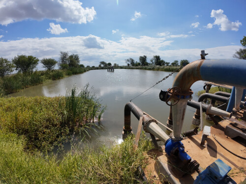 Tender Invitation Notice 1367 Ha Irrigation Farm On Limpopo 