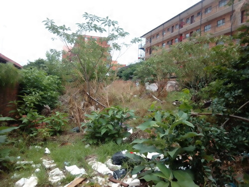 Deceased Estate - 3 X Vacant Stands In Wonderboom South